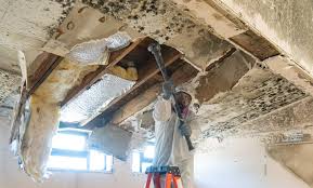 Best Emergency Mold Remediation  in Pasadena, CA